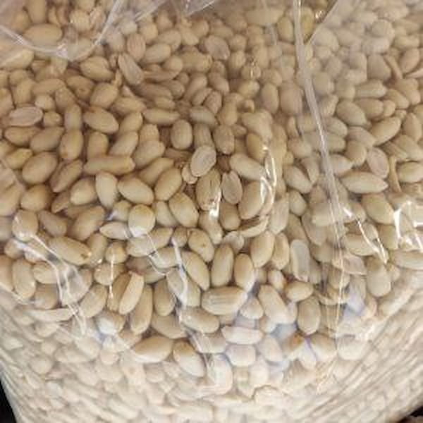 تصویر 2 از خرید و فروش بادام زمینی کره گیری با شرایط فوق العاده